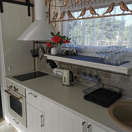 Villa Sapni Kolka Esterno foto